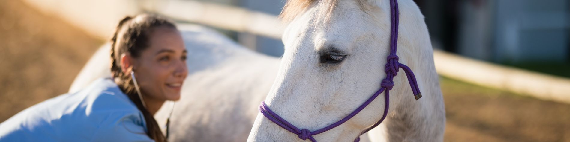 WALK ON Therapeutic Riding & Learning Center