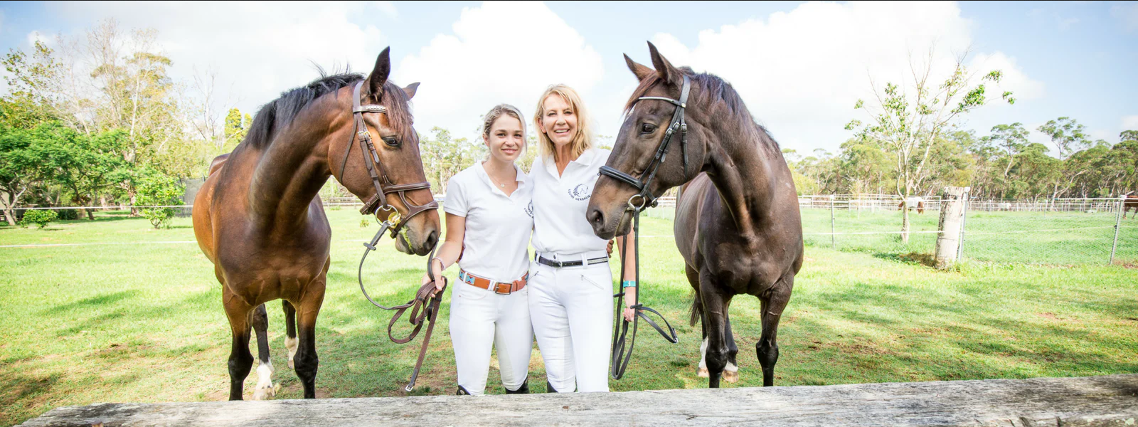 Equine Herbalist & Equine Myofunctional Therapy with Mickie Magan Equine herbal medicine is plant based medicine for horses. In the wild, horses and other animals self-medicate when they are feeling unwell or off colour. Horses travel many kilometers during the day and eat a multitude of plants, leaves, roots, bark and other vegetation. Many of these plants have medicinal and therapeutic benefits as well as vitamin, mineral and nutrient contents. The domesticati