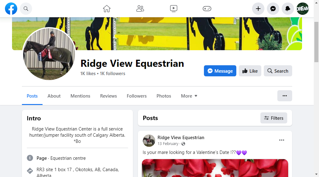 Ridge View Equestrian