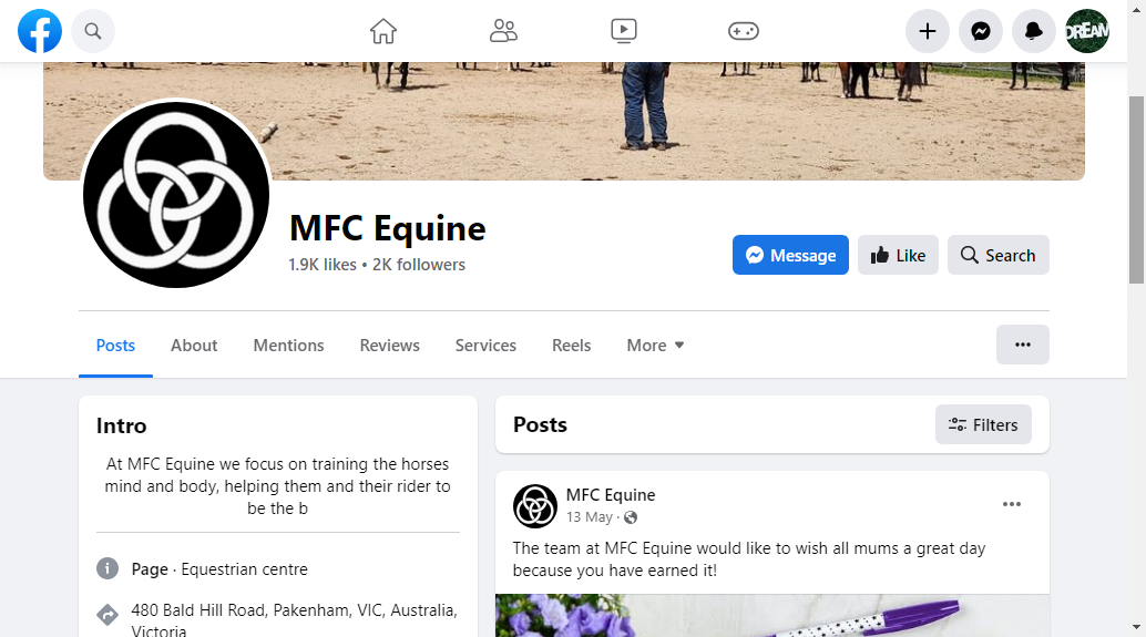 MFC Equine Horse and Rider Coaching