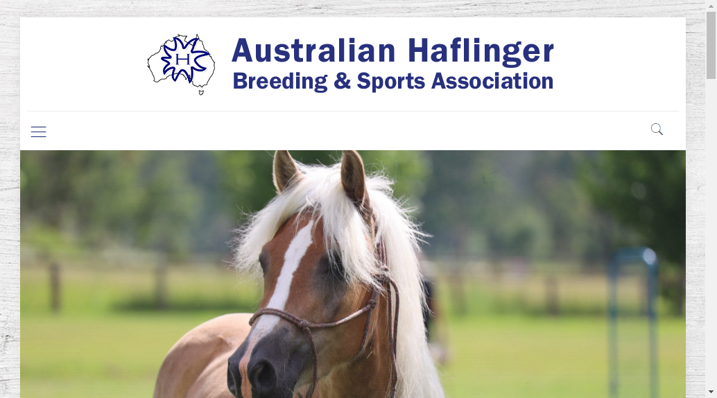 Australian Haflinger Horse Breeders Association