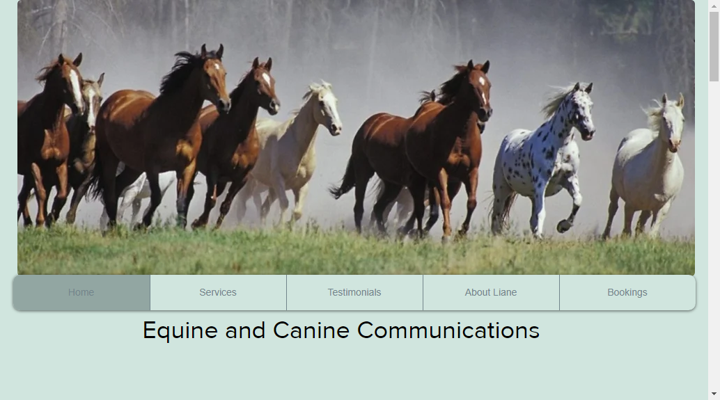 Equine Communications