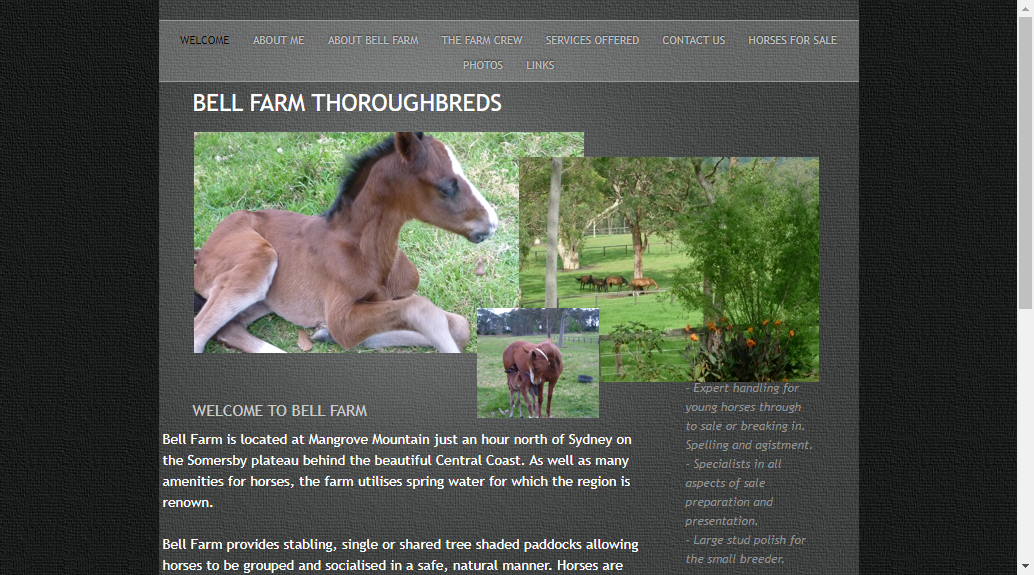 Bell Farm Thoroughbreds