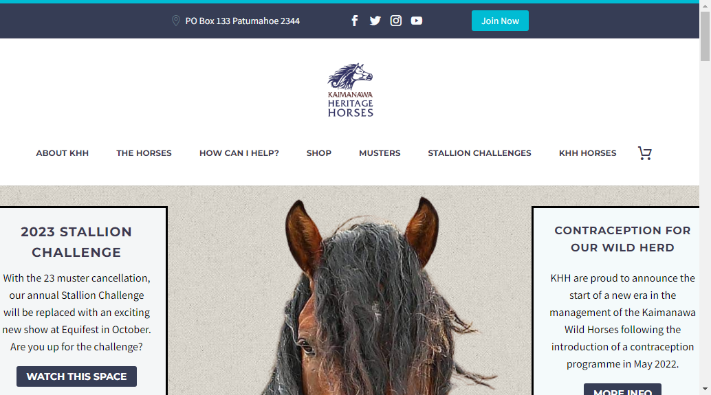 Kaimanawa Heritage Horses Welfare Society Inc