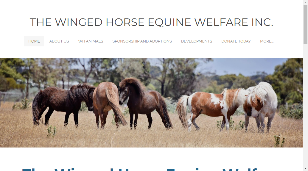 The Winged Horse Equine Welfare