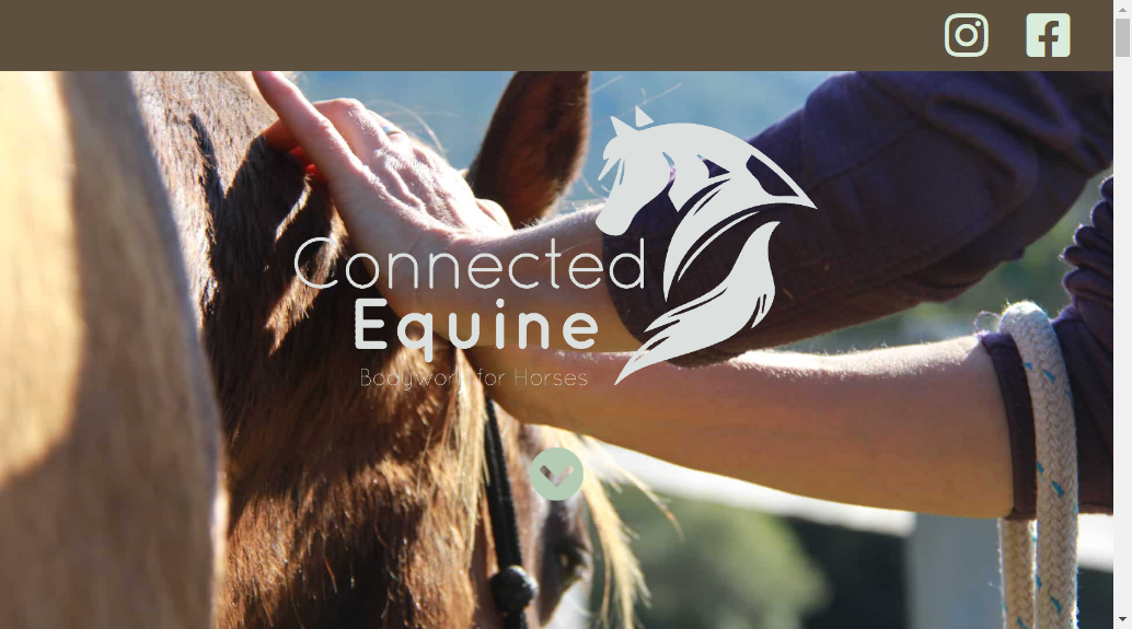 Connected Equine - Bodywork for Horses