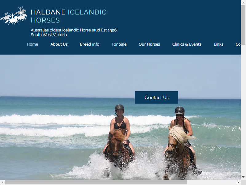 Haldane Icelandic Horses