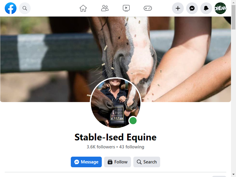 Stable-Ised Equine