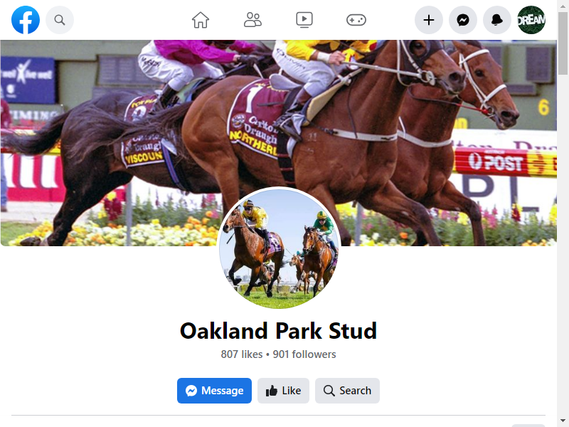 Oakland Park Stud