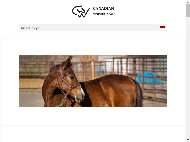 Canadian Warmblood Horse Breeders Association