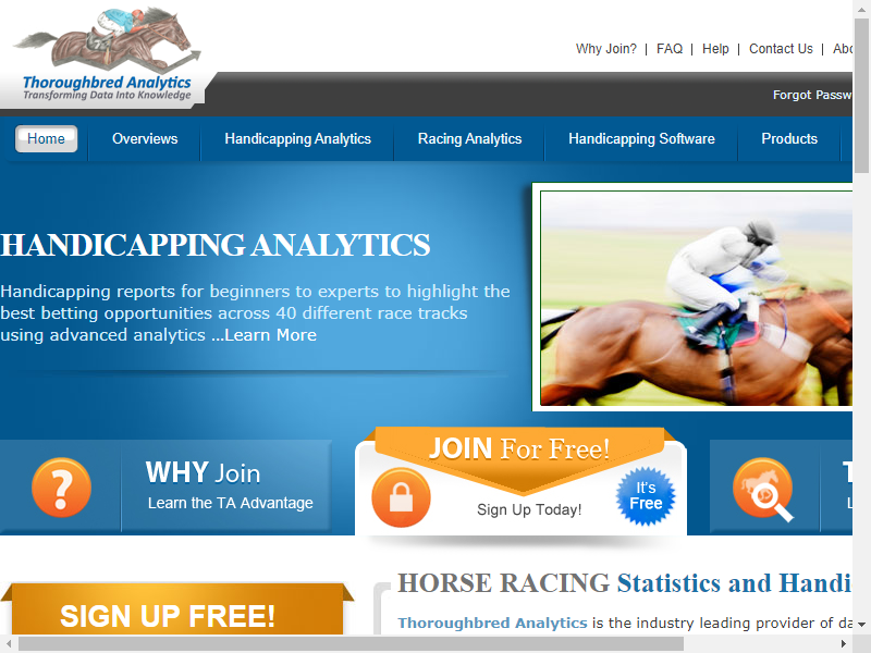 Thoroughbred Analytics