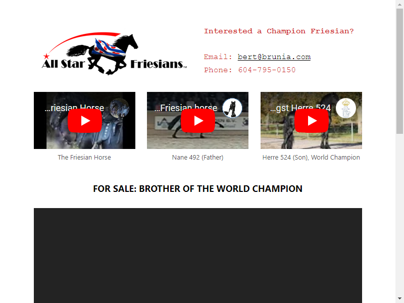 database; of Friesian Horses - Friesian Stars