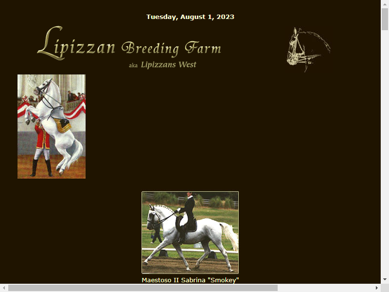 Lipizzans West