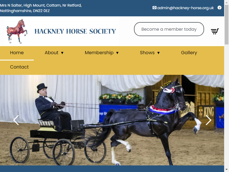 Hackney Horse Society