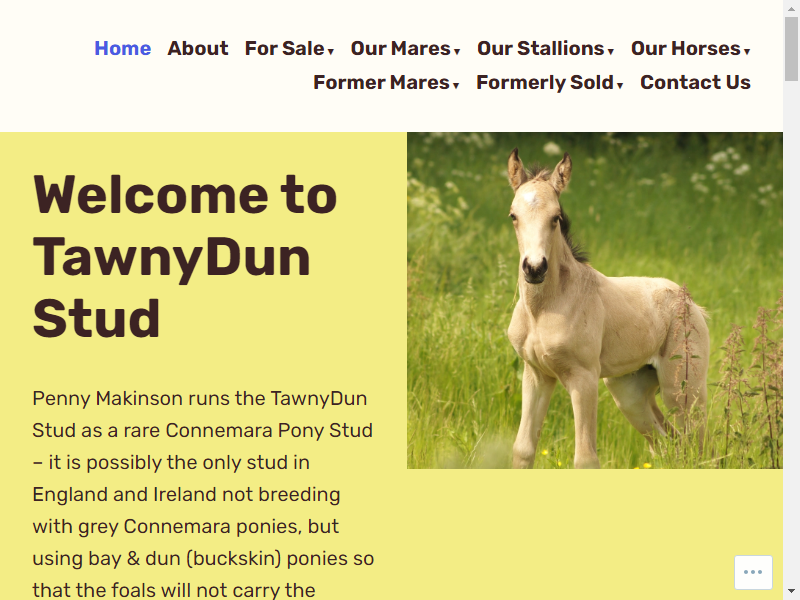 TawnyDun Stud