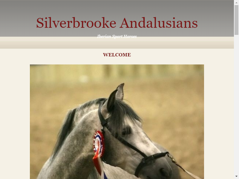 Silverbrooke Andalusians