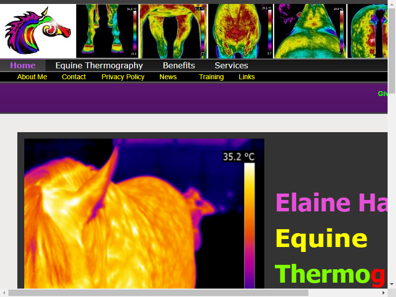 Elaine Hall Equine Thermography