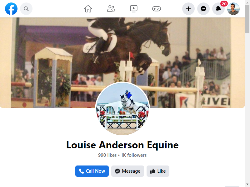 Louise Anderson Equine