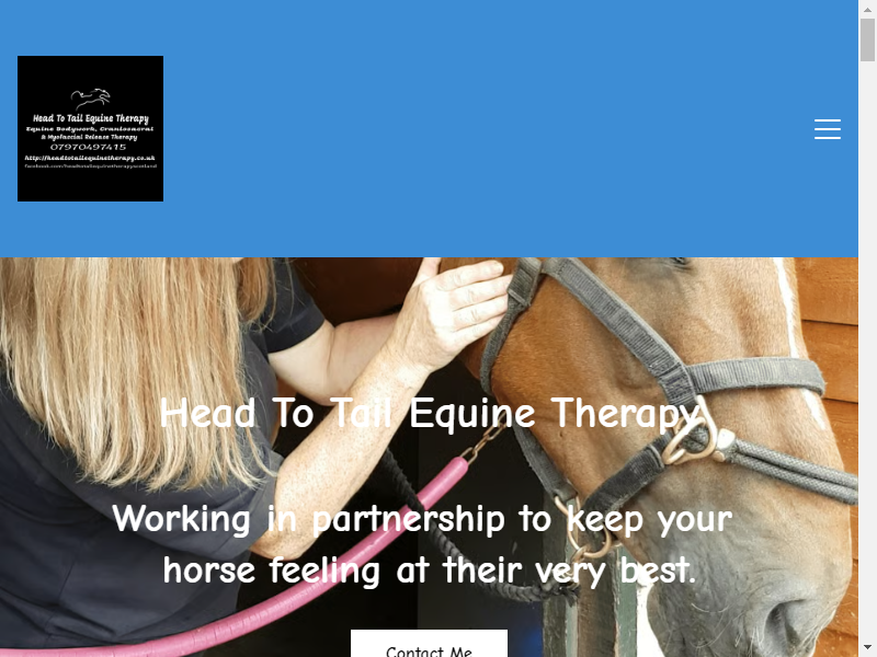 Head To Tail Equine Therapy.co.uk