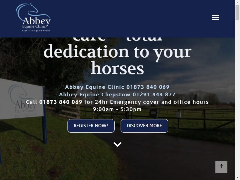 Abbey Equine Clinic