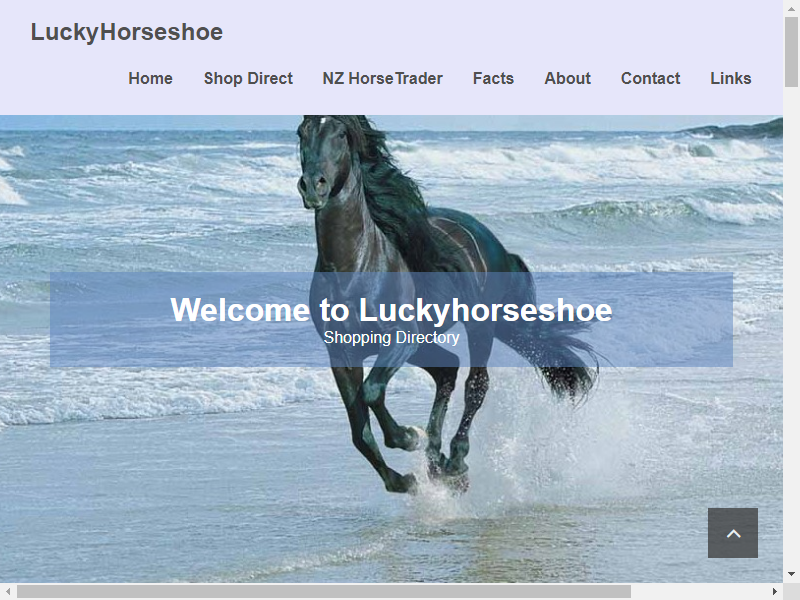 Lucky Horseshoe TV