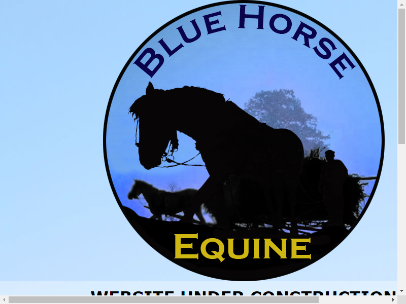 Blue Horse Equine Ltd