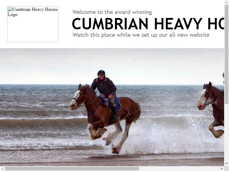 Cumbrian Heavy Horses