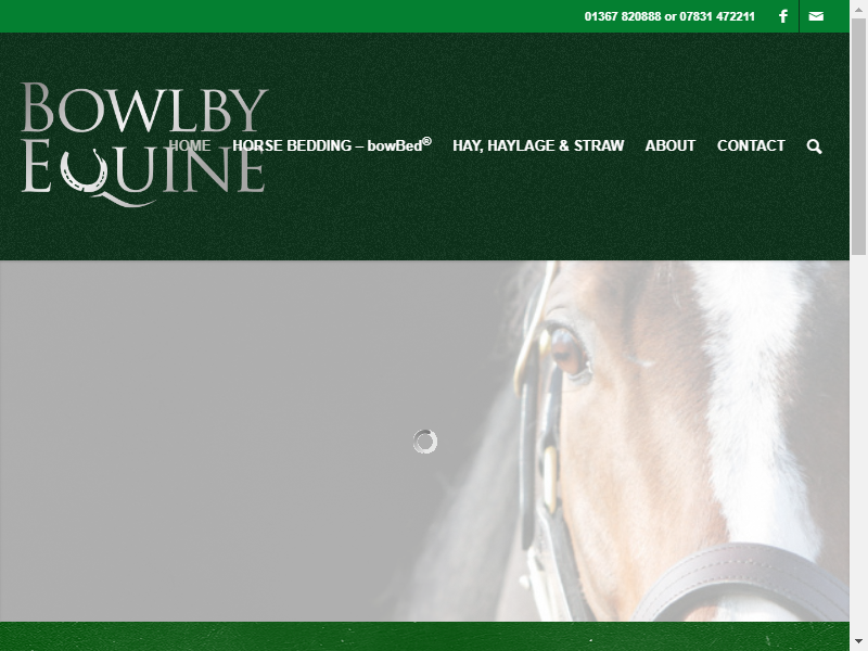 Bowlby Equine