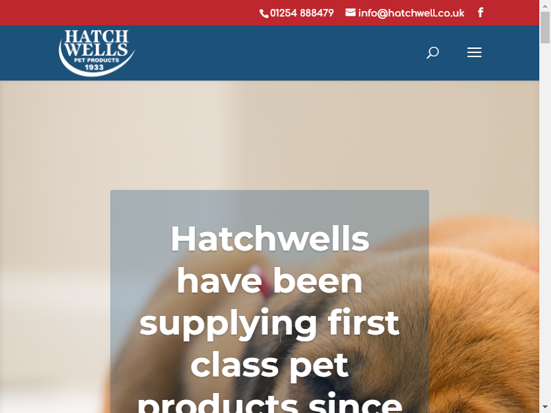 The Hatchwell Company Ltd