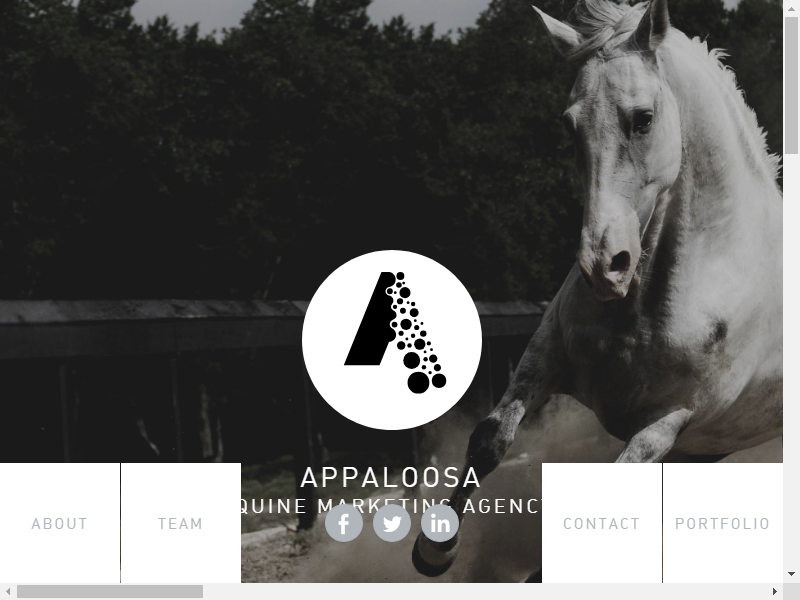 Appaloosa Agency