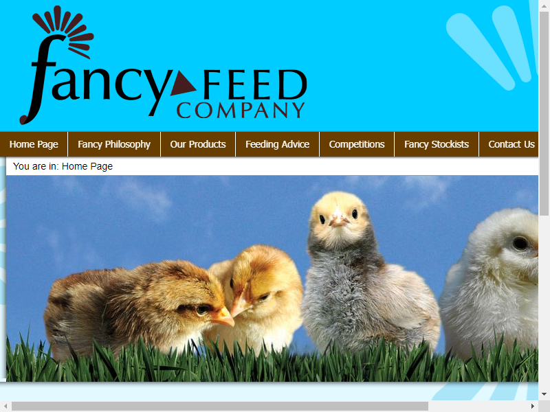 Fancy Feed Company