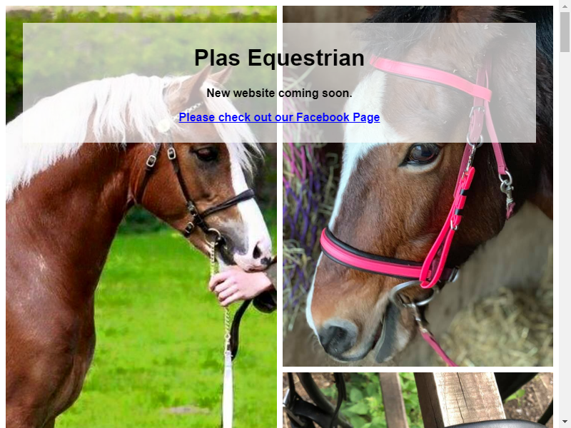 Plas Equestrian