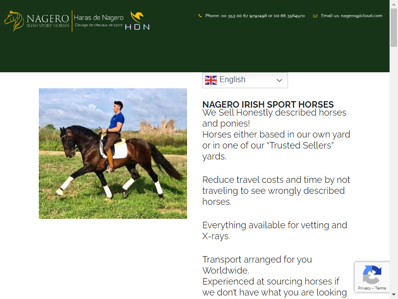 Nagero Sport Horses