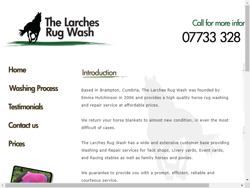 The Larches Rug Wash