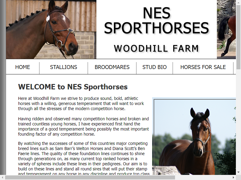 NES Sporthorses