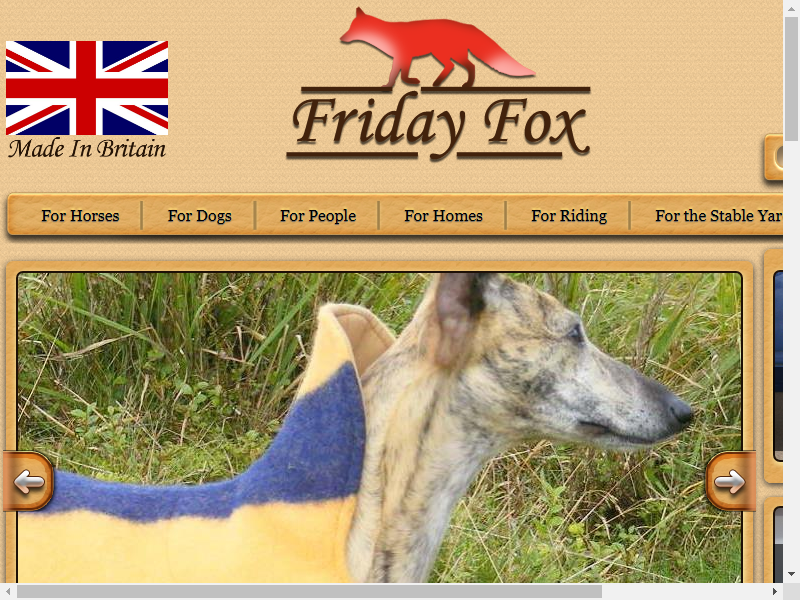 Friday Fox Ltd